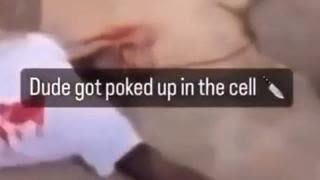 Hahahaha goyim we jewish judicial system caught u passing antisemitic flyers, now we gonna put u in nigger impunity cages in da zoo for 5 years till our gorilla ape baboon hit squads find out you hate niggers...