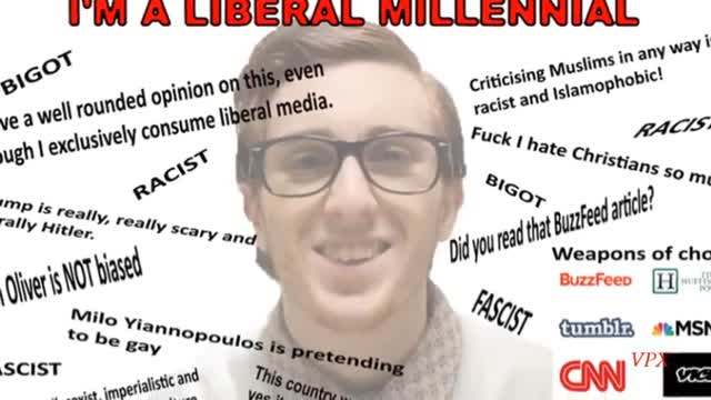 Another dragonfox masterpiece