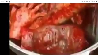 Nigger kills someone for a chicken sandwich from popeyes