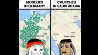 "The migrants are comming" documentary about AFD ( alternative for deutschland) and polands inquiry of afd success.