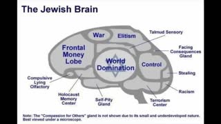 Planet of decadence and NIGGERS