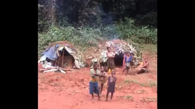 These gawd awful abominations only exist because we carry them along.