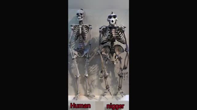 Mr bidens neighborhood..