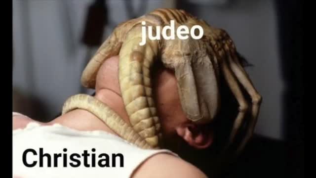 Nigger robs grandmother and young girl beats them