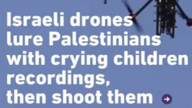 THE MOST MORAL ARMY IN THE WORLD ? GOYIMZES