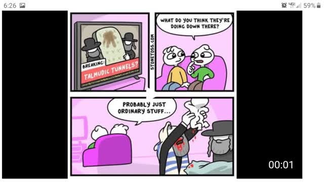 BONEHEAD COPS IMPLEMENTING JEW KALERGI PLAN