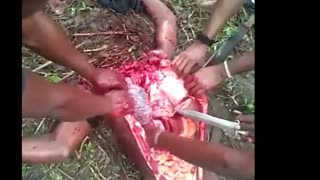 Mudshark takes leave of absence from NIGGER relationship till she finds another pet animal nigger