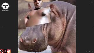 WKANDIANS try to govern themselves, income whites to save the day