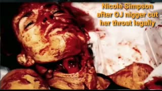 White replacement numbers updated.