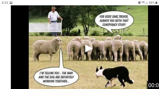 Retarded sheboon gets beat bloody and pistol whipped by her FRENS