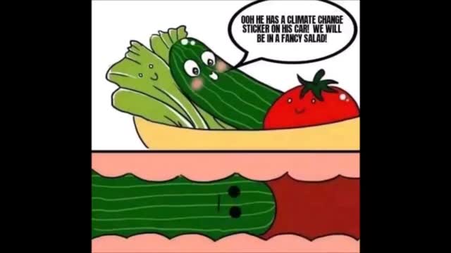 PLANET OF THE APES L.A