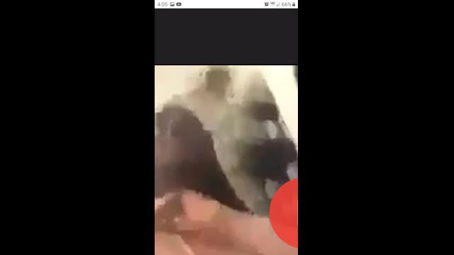 Let her go??? Ummm the only nigger fight stopper is fresh kfc