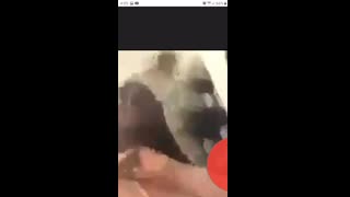 Let her go??? Ummm the only nigger fight stopper is fresh kfc