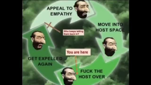 Niggers assaulting elderly whites