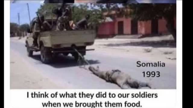 Even Matt Walsh can't pretend niggers aren't dangerous anymore..and he's a kike bike seat.