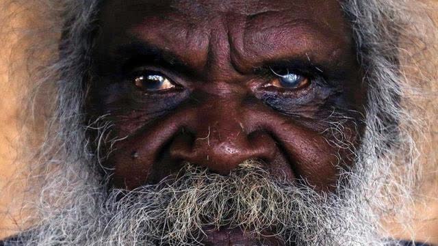 Niggers ARE 'The Beasts Of The Earth' So Saith Scripture!!! -PROOF!!