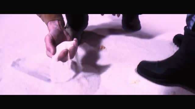 Niglets train to become NIGGERS