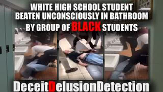 WHITE HS STUDENT BEATEN UNCONSCIOUSLY IN BATHROOM BY GROUP OF NIGGERS-DECEITDELUSIONDETECTION