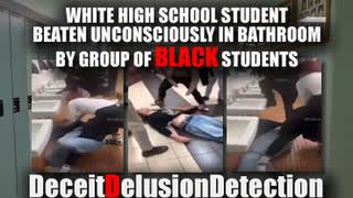 WHITE HS STUDENT BEATEN UNCONSCIOUSLY IN BATHROOM BY GROUP OF NIGGERS-DECEITDELUSIONDETECTION