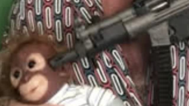 Niggers will NEVER fit with civil society. Giving name and birthday TOO DAMN HARD