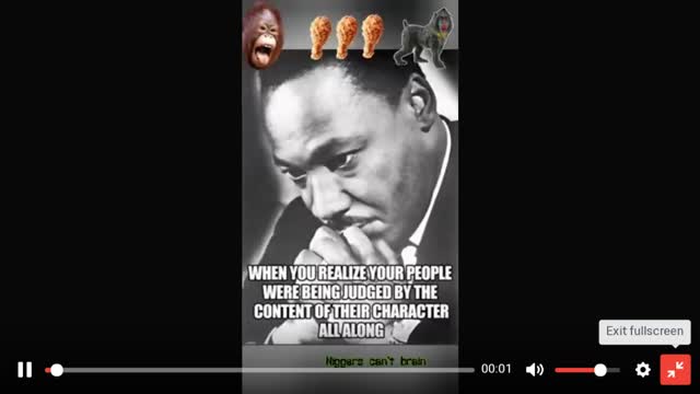 National news and laws brought up for paper MEANWHILE niggers take over cities and war in streets while getting rich rapping about it.. chitwood and no other faggot cops can apparently do anything about