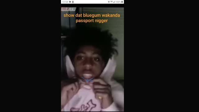 EUROPEANS OF THE BRONZE AGE LIVED BETTER THAN MODERN DAY NIGGERS IN AFRICA