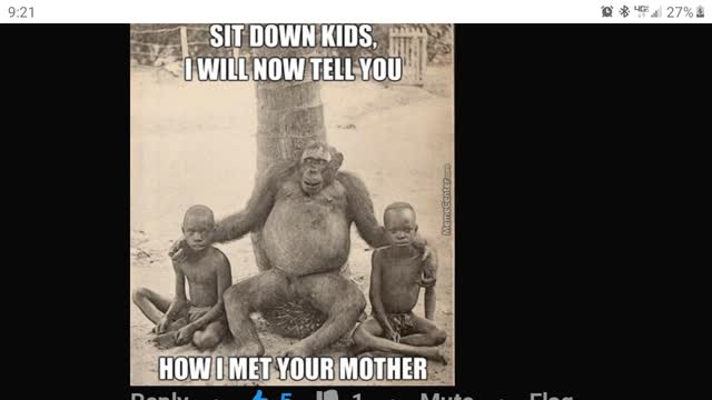 Nigger softball try outs in wacooda wakanda