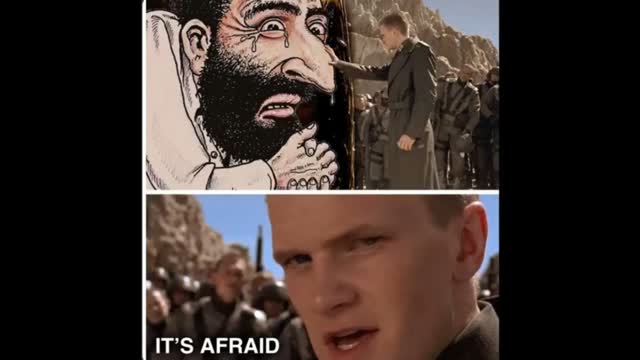 HT gets more heat throwin flyers than these NIGGERS throwin molotovs