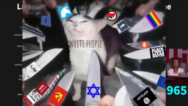 Jews have a extensive gay transgender history says JEW