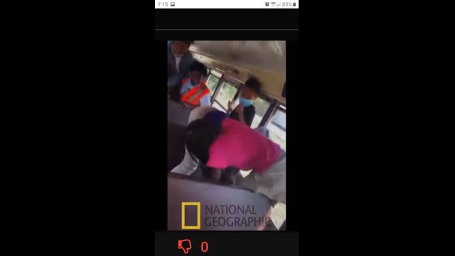 Niggers bring ghetto behavior into schools