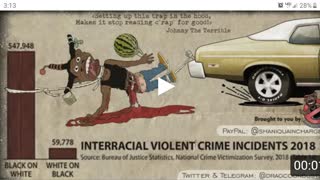 77 Shot 12 Dead - Up From 56 Shot and 11 Dead.  In chicongo niggerland. Niggers are going to get our 2nd amendment taken by jews