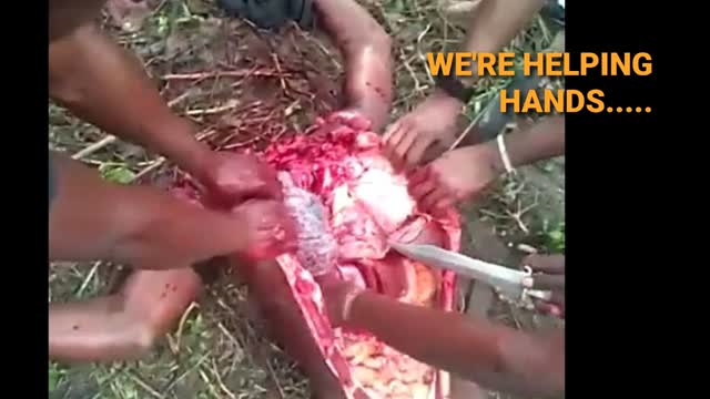 Shitskins win political election