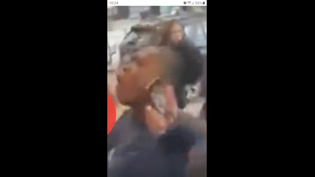 Full blown silverback sheeboon NIGGER