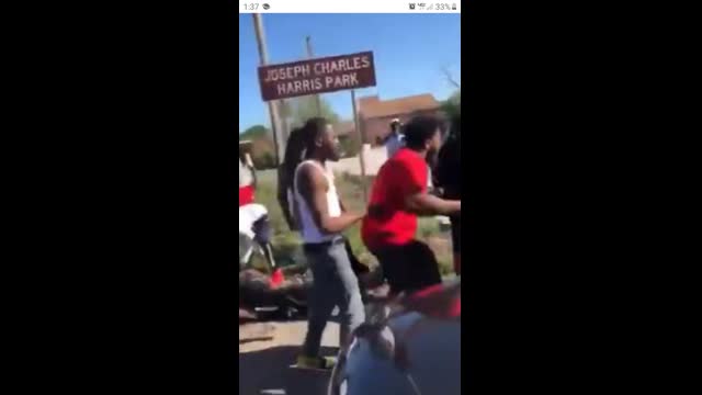 A pack of retarded NIGGERS being normally savage