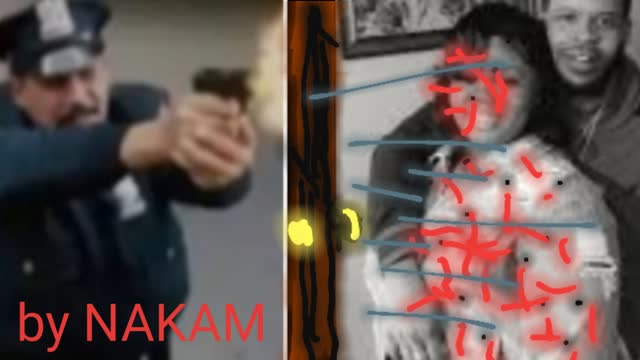 WESTERN ALIANCE RESISTANCE NIGGER CRIME SUPREMACY WITH TRIPLE D-DECEITDELUSIONDETECTION