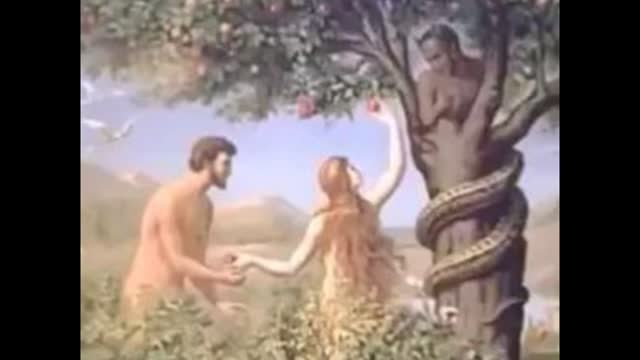 Niggerloving Women like cosmicpepe let 10000 more niggers into our country