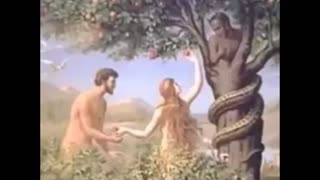 Niggerloving Women like cosmicpepe let 10000 more niggers into our country