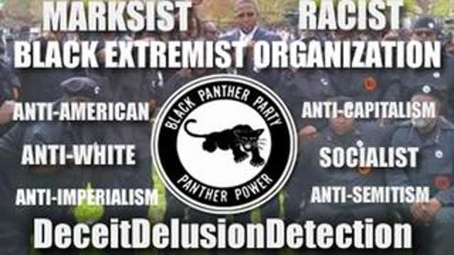 HOW THE BLACK PANTHER PARTY ARE PORTRAYED IN THE MEDIA AND IMPOSED ON OUR CHILDREN-DDD