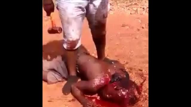 This NIGGER must have been shocked to see so many racist