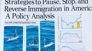 Strategies to Pause, Stop, and Reverse Immigration in America: A Policy Option Analysis