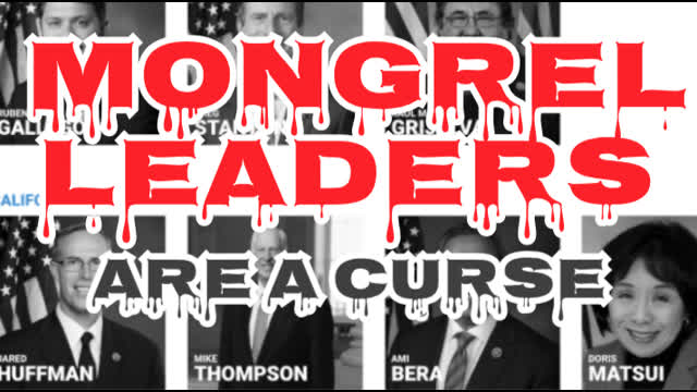 Mongrel Leaders are a Curse