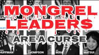 Mongrel Leaders are a Curse