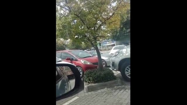 Black South African woman begs for white people to rule the country again!