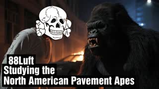 88Luft Studying the North American Pavement Apes