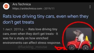 Jukka Papergoy/Banner drop