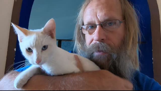 The Mexican Predicament