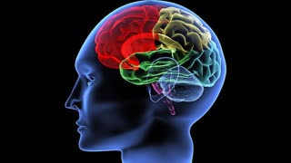 Covid-19 vaccine from Pfizer confirmed to cause brain damage, neurodegenerative disease