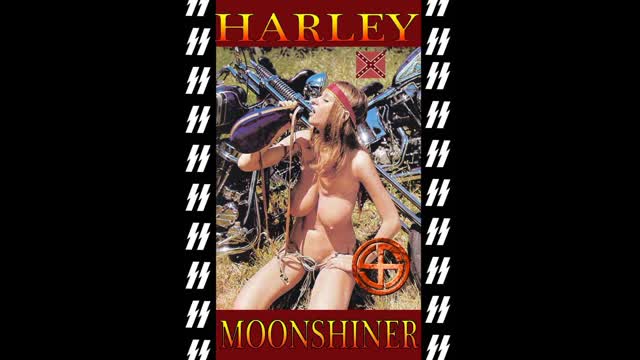 REBEL HARLEY HIPPIE MOONSHINER, BEST TSHIRT YET