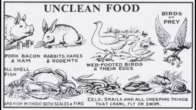 JAMES WICKSTROM - 082 PETERS VISION APRIL 21 2002