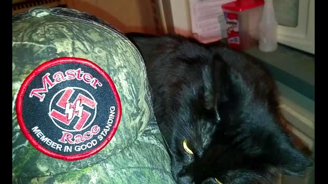 HAT - 'MASTER-RACE., MEMBER IN GOOD STANDING'